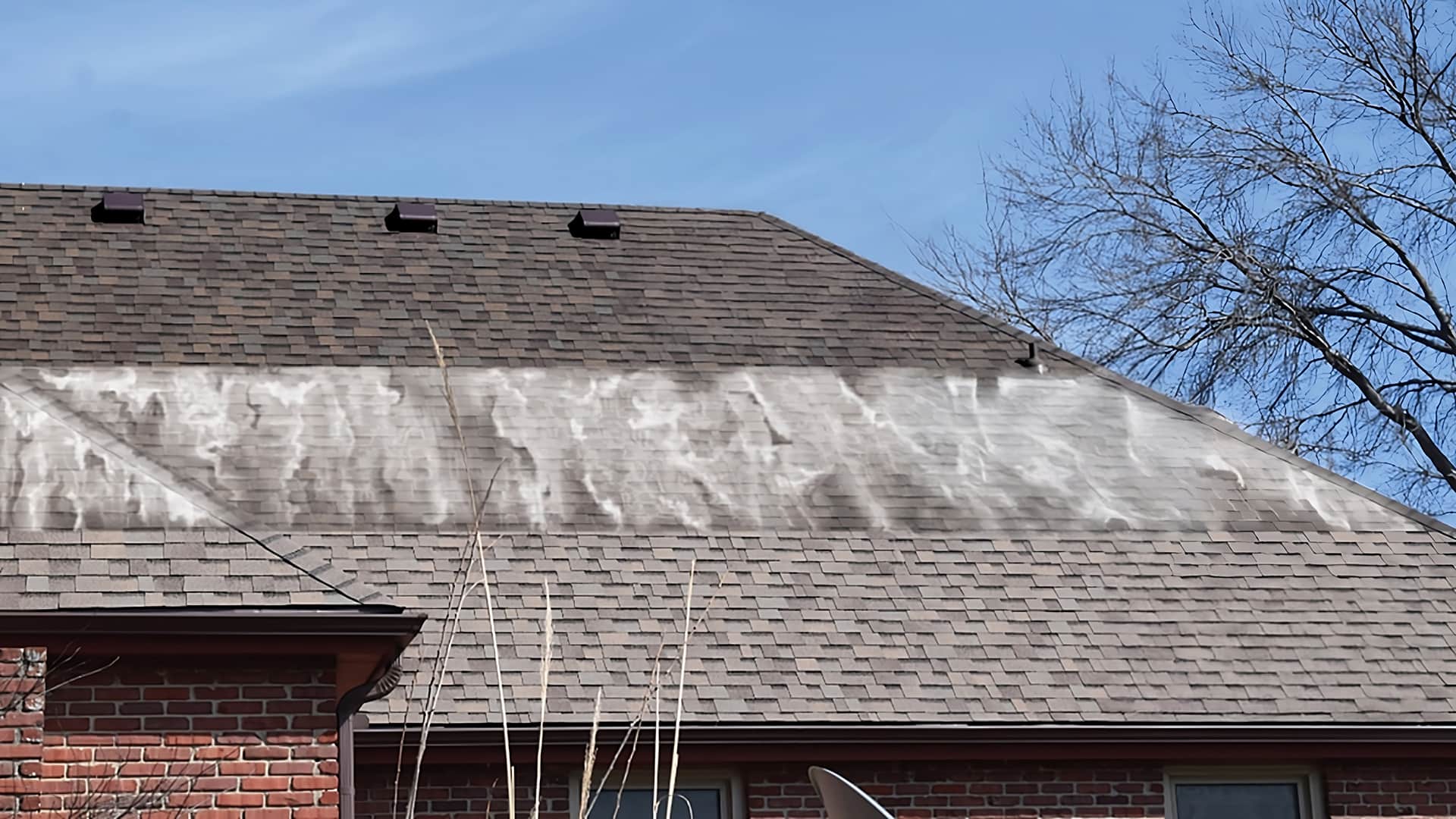 Ever New Roofing rejuvenation service in Farmington Hills, enhancing roof life and appearance with eco-friendly methods.